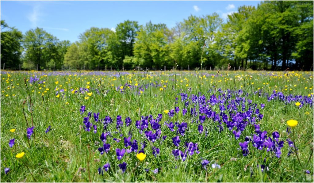 Utazás lakóautóval Béziers - Canal du Midi, part tavasszal