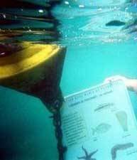 Úton Spanyolország felé - katalán földön 89 Úton Spanyolország felé - Cerbres víz alatti multimédia útvonal