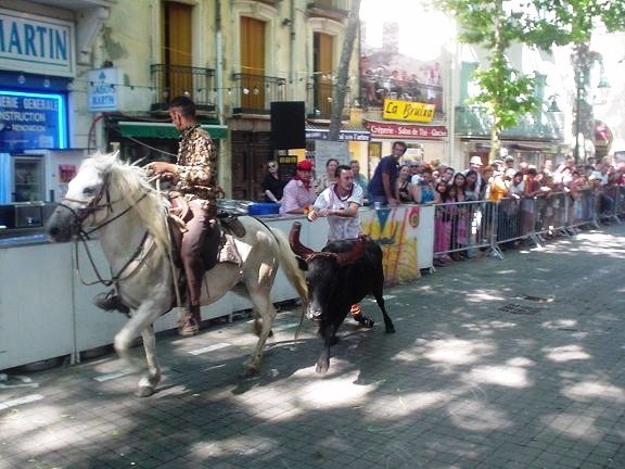 bikaviadal bikafuttatás az utcán