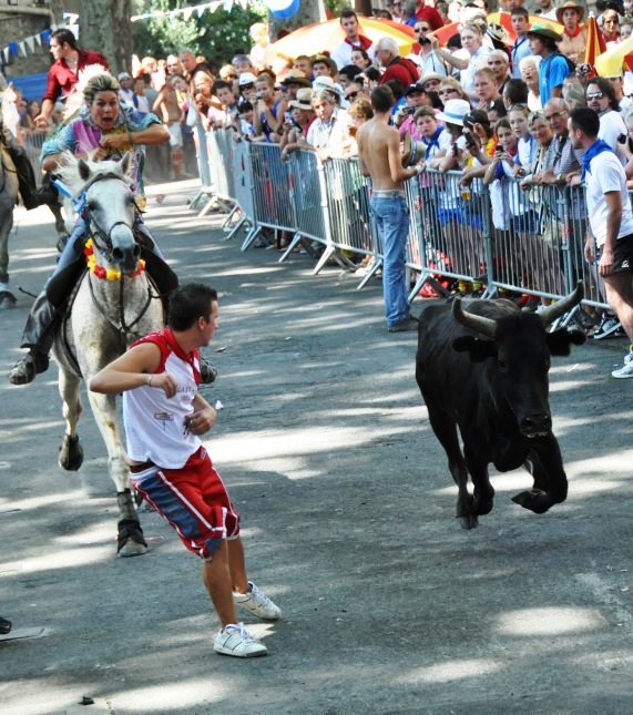 bikafuttatás koncentráció