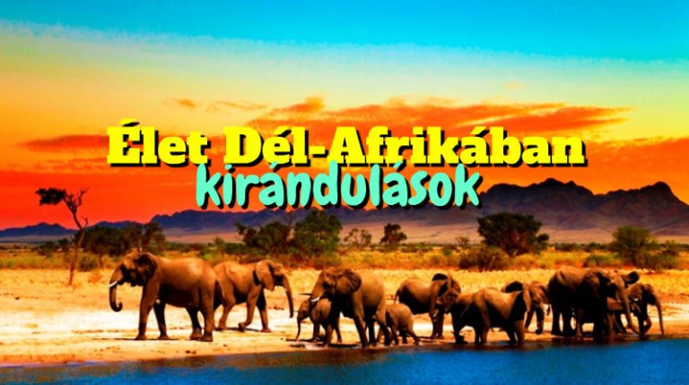 Élet Dél-Afrikában – kirándulások