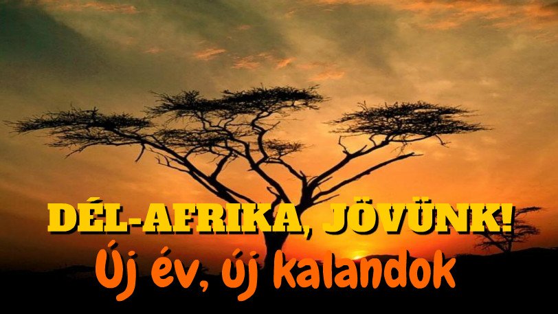 2015. január: Új év, új kalandok a javából!