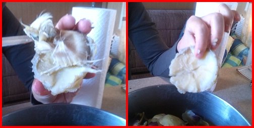 Articsóka 5 Articsóka evés - articsóka szíve - coeur d'artichaud