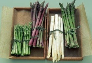 Spárga 1 Spárga, spárgából készült ételek receptek fotókkal