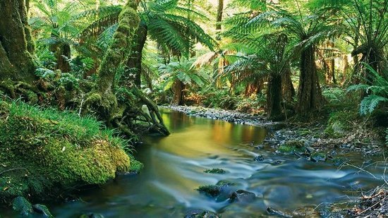 2017-es év legjobb úti céljai - Dominika