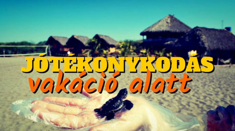 Jótékonykodás vakáció alatt, avagy ezeken a helyeken az állatokon is segíthetsz