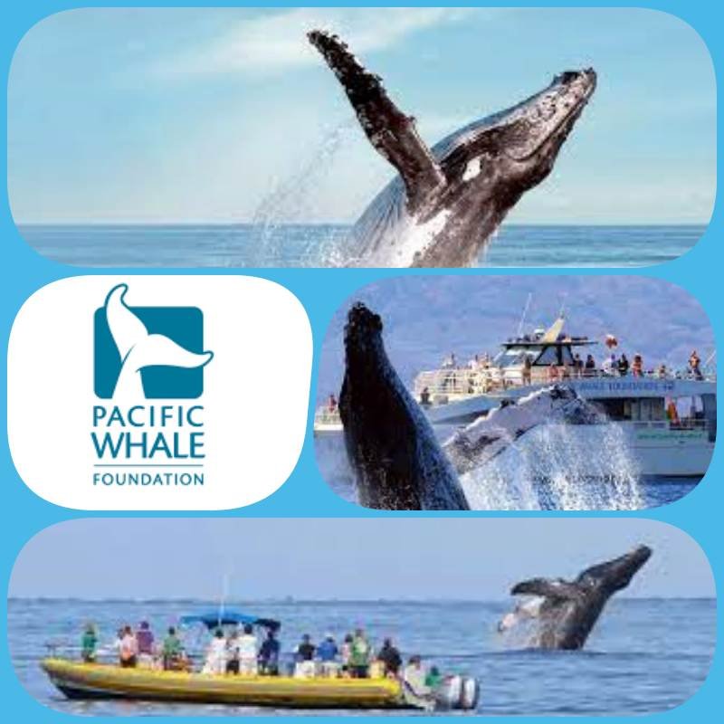 Jótékonykodás vakáció alatt