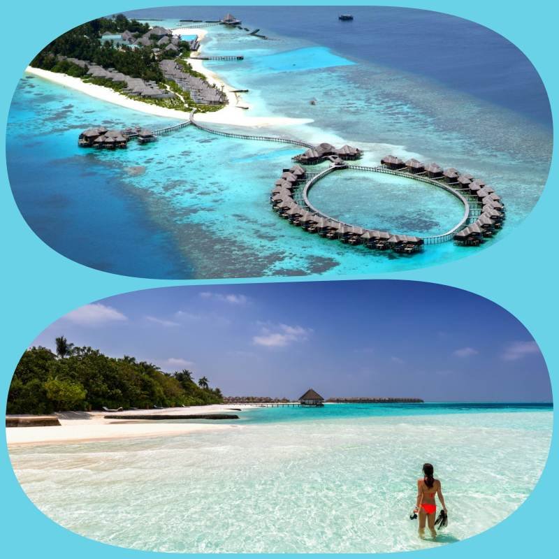 Maldív-szigetek teknősök megfigyelése a nyári vakáció idején