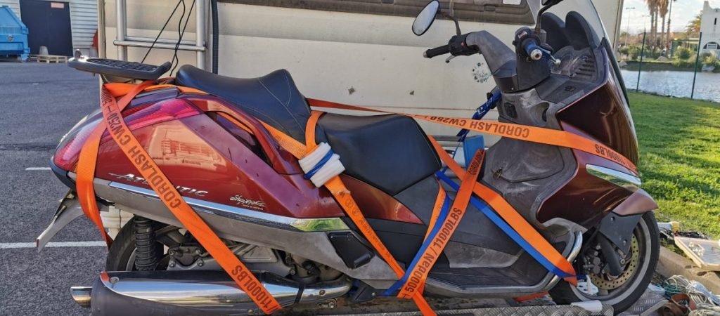 robogo rogzites lakoautora